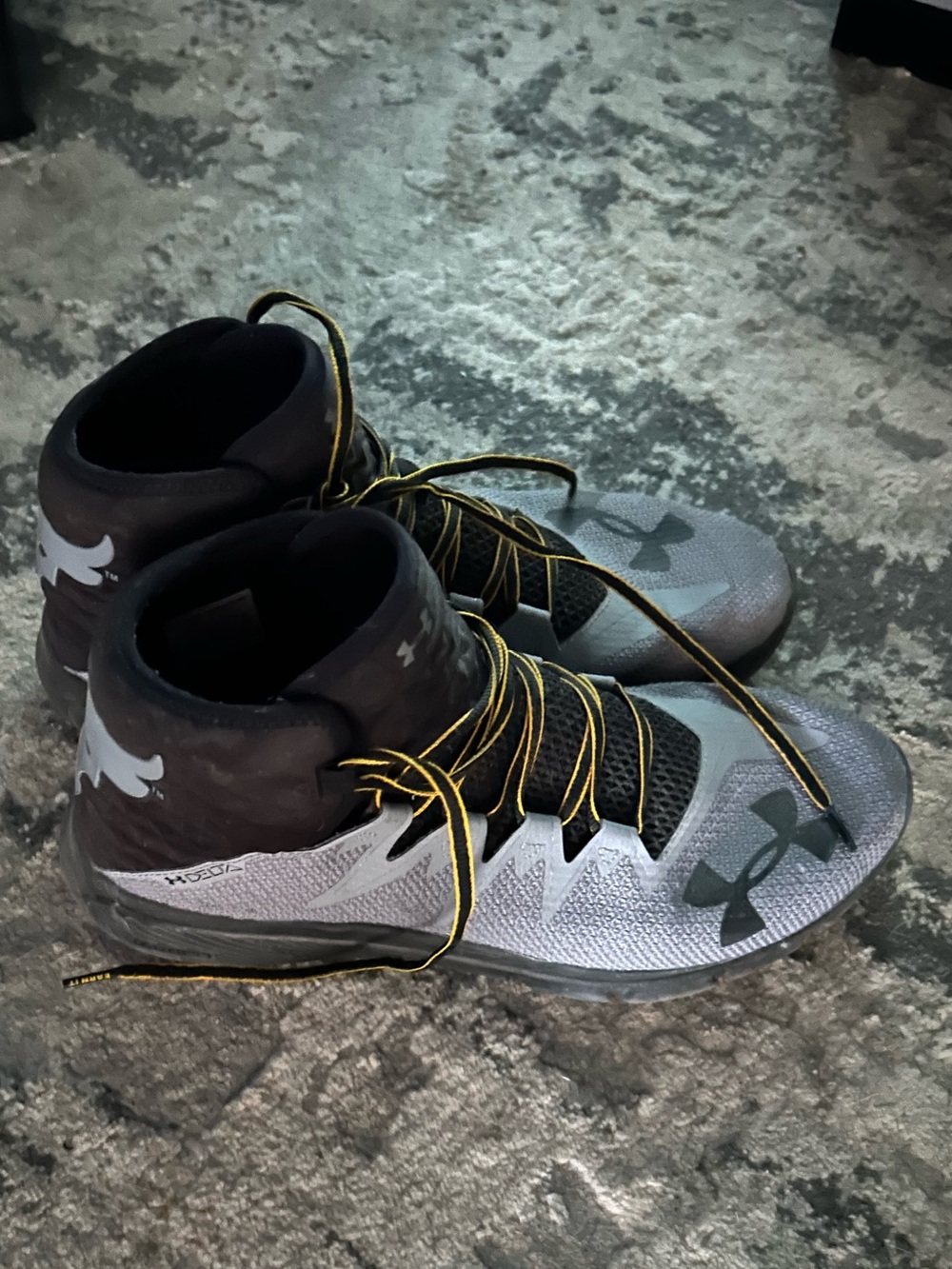 Project Rock Shoes
